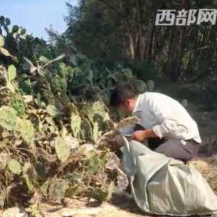 陕西小伙清理海滩垃圾26天共捡6吨