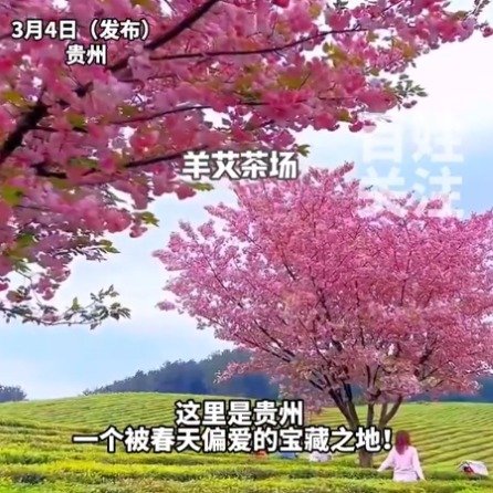贵州是被春天偏爱的宝藏地