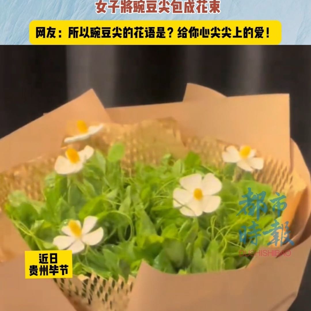 蔬菜届顶流豌豆尖被包成花束
