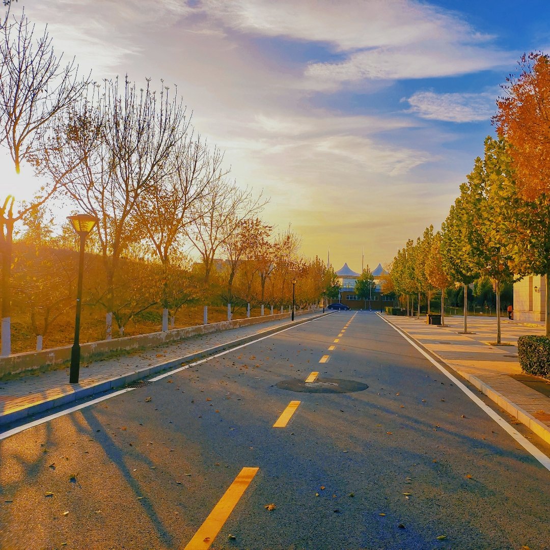 北京校园里的浪漫秋景