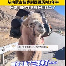 男子历时3年半从内蒙古徒步到西藏