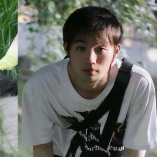 养鸡养猪的00后面试熊猫实习饲养员