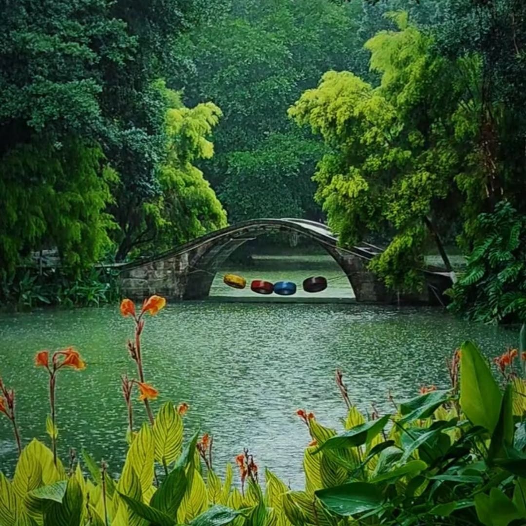 下着雨的重庆公园有多美