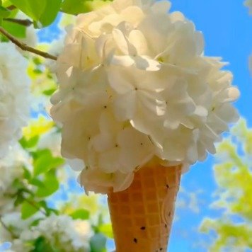木绣球花开成春日限定冰淇淋