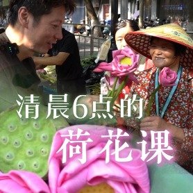 花艺师现场教老花农荷花变形计