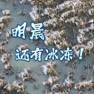 太湖仿佛被敖丙施了冰冻术