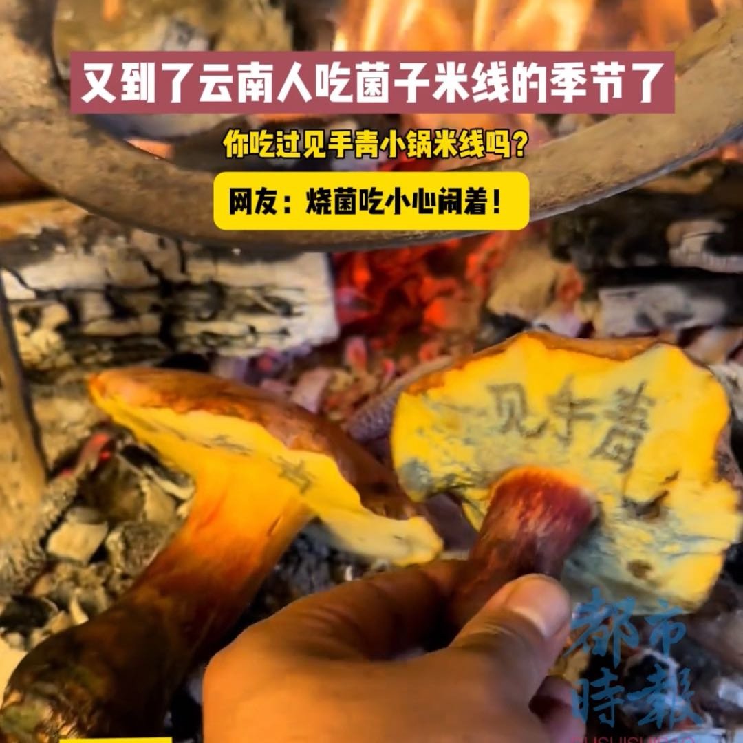 云南小伙炭烧见手青煮米线
