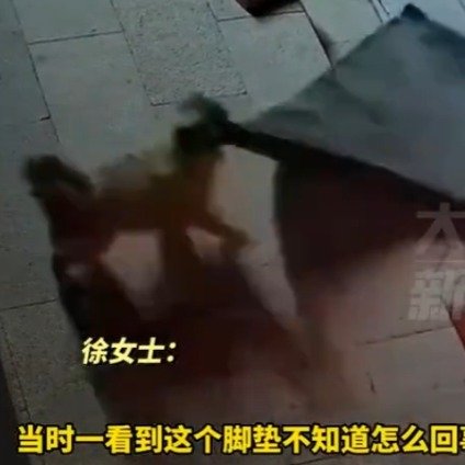 狗狗半夜把邻居脚垫叼来还人情