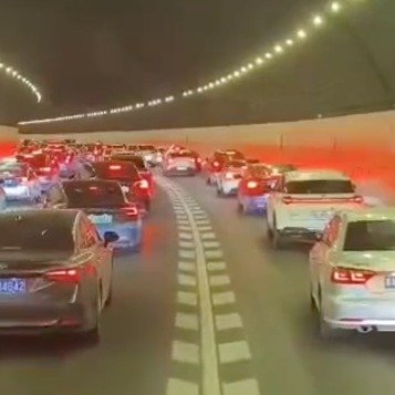 杭州人集体托举出春天的温暖