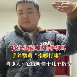 小伙遛鹦鹉精准做到指哪打哪