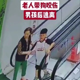 老人带狗咬伤男孩后逃离