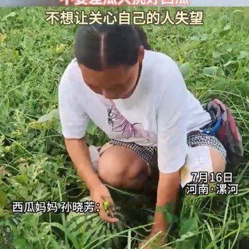 瓜农自发帮患癌妈妈挑瓜装车