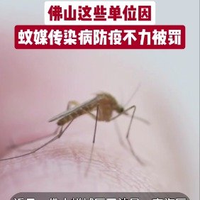 佛山这些单位因蚊媒传染病防疫不力被罚