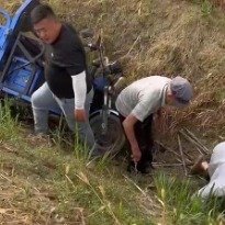 8旬老人开三轮收麦翻沟男子冲下救人
