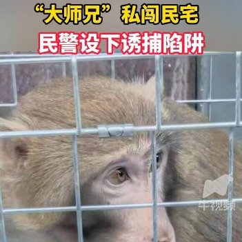 民警巧计降服大闹民宅的大师兄