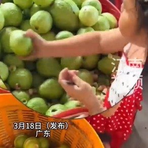 萌娃超绝勺技3岁的年纪30岁的技术